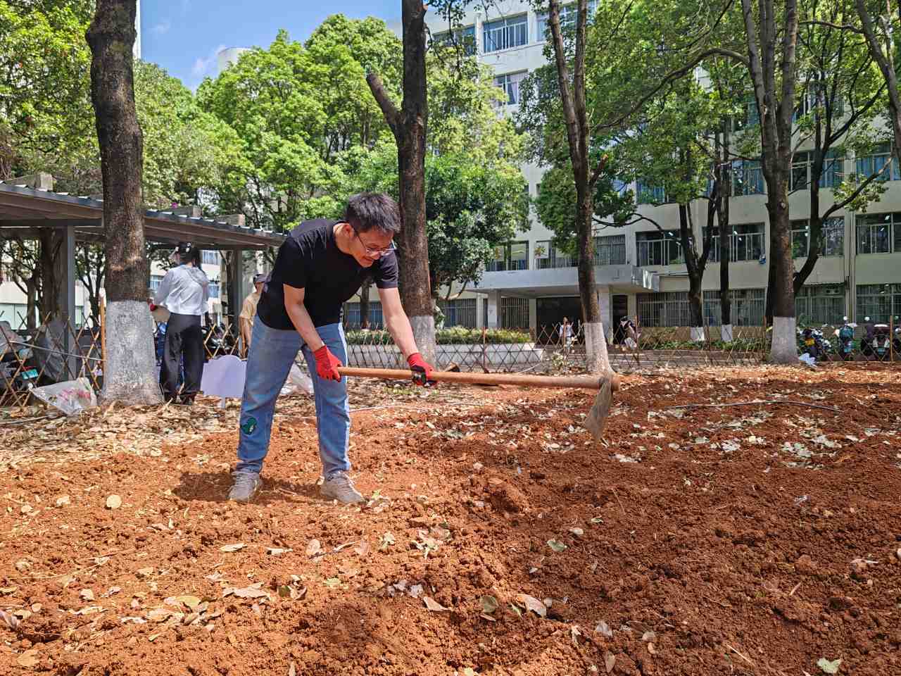 筑牢劳动教育的信仰之本 ——医学院药学系开展百草园试验田种植活动 第 2 张