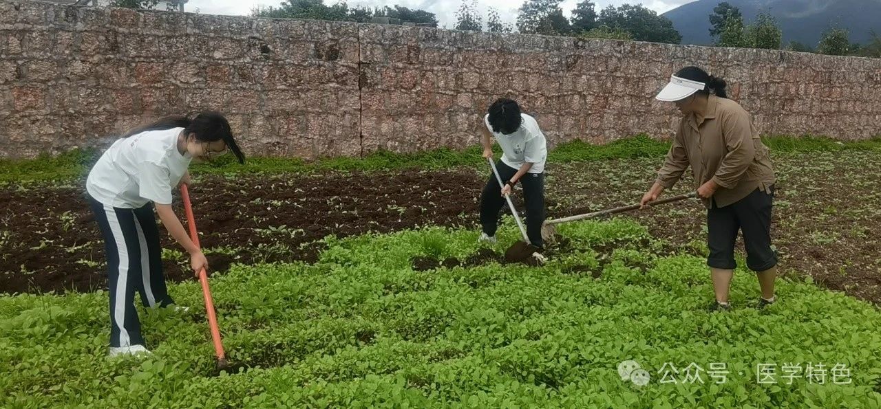 bat365官方网站“经管纳医行”深入丽江探索雪山神医-纳西土医奥秘 第 9 张 bat365官方网站“经管纳医行”深入丽江探索雪山神医-纳西土医奥秘 第 9 张