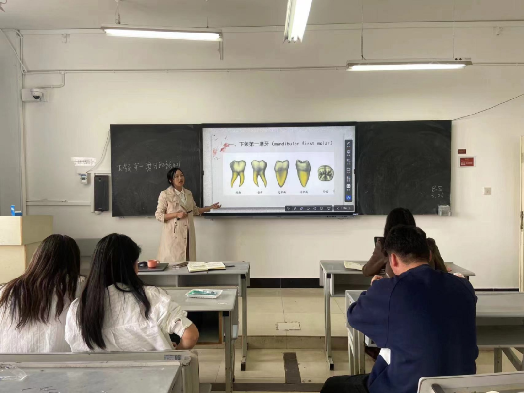 口腔医学技术专业开展“精彩一课”磨课教学活动 第 4 张 口腔医学技术专业开展“精彩一课”磨课教学活动 第 4 张