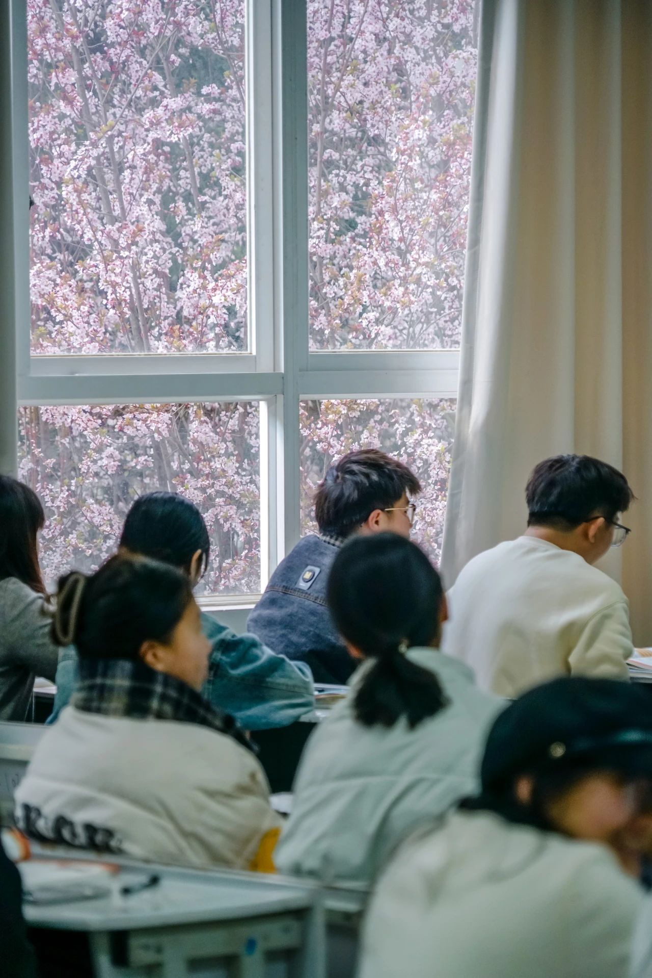 bat365官方网站春季学期开学! 第 6 张 bat365官方网站春季学期开学! 第 6 张