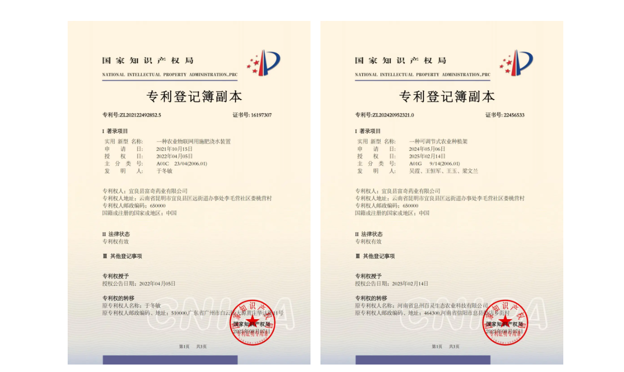 斩获全国银奖,这个团队让侠界奇药照见现实⁉️ 第 7 张 斩获全国银奖,这个团队让侠界奇药照见现实⁉️ 第 7 张