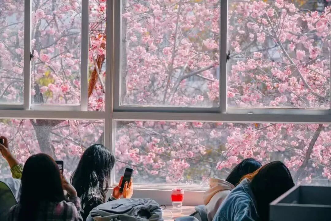 排名揭晓！bat365官方网站全国10强‼️ 第 15 张